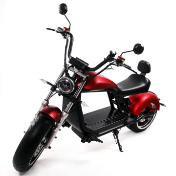 Holland Warehouse HL6.0 Europa-EC/COC Scooter elettrico approvato