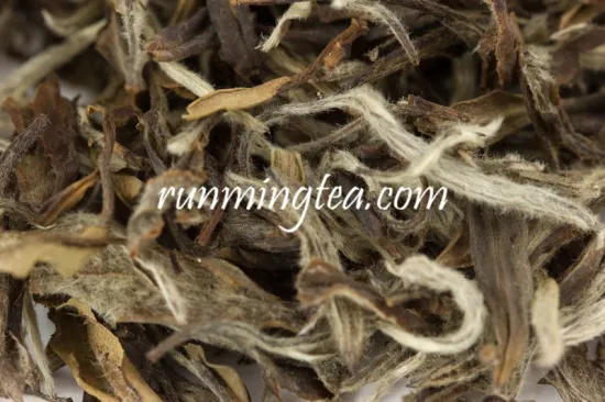 Pure Raw White Tea White Tea Extract