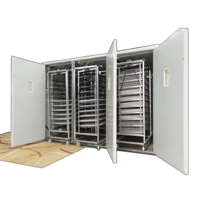 Best Price Automatic Duck Egg Incubator Machine for 10,000 Oeuf Hatching Eggs