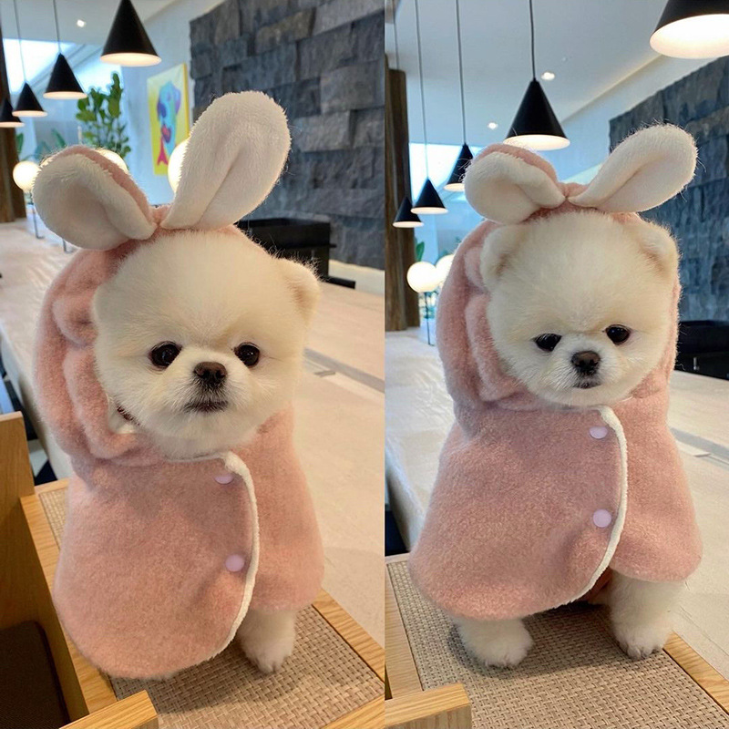 Cute Korea Japan Style Cat dog cloak