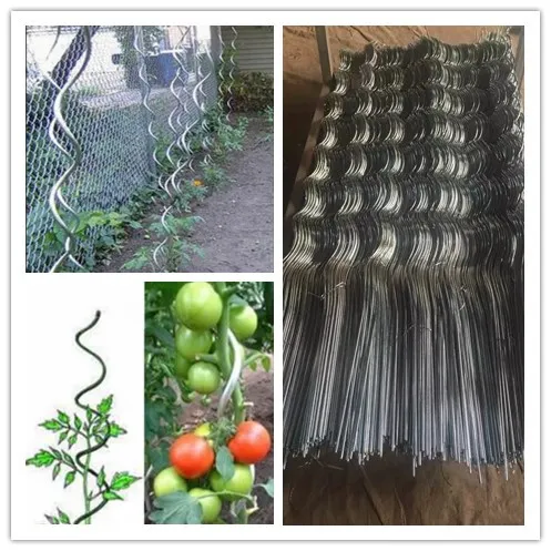 Galvanized Steel Tomato Plant Growing Spiral Wire