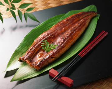 FROZEN ROASTED EEL