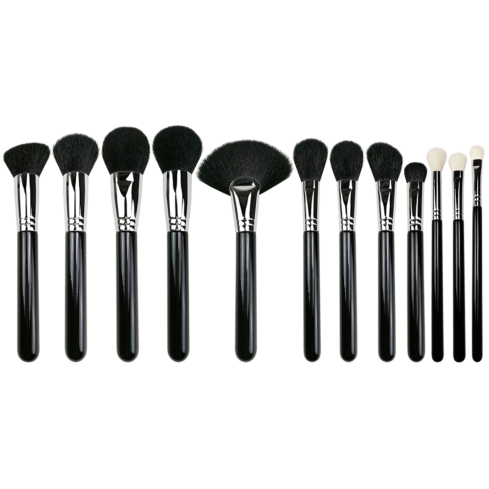 12 pcs Professional Makeup Brushes