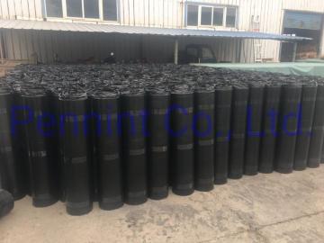 SBS/APP torch-on modified bitumen waterproofing membrane