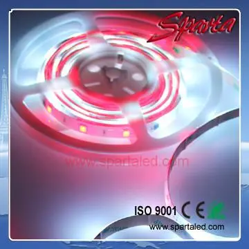 12V Programmable Waterproof Flexible LED Strip Light