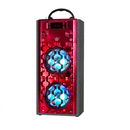 subwoofer  with FM Radio Speaker