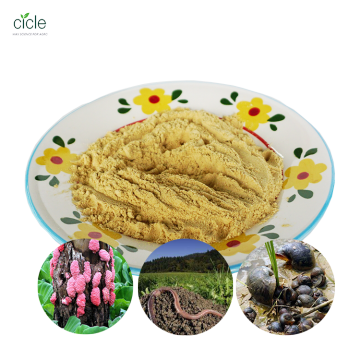 Tea Saponin Powder control worms and nematodes