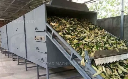 Fruit drying machine Conveyor belt dryer