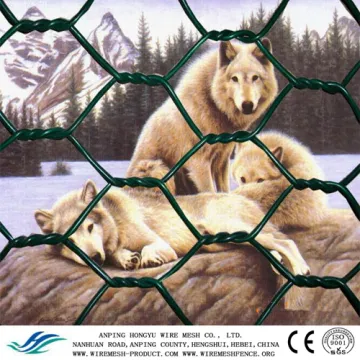 Hex. wire mesh in bidirectional twists Electro Galvanized After Weaving