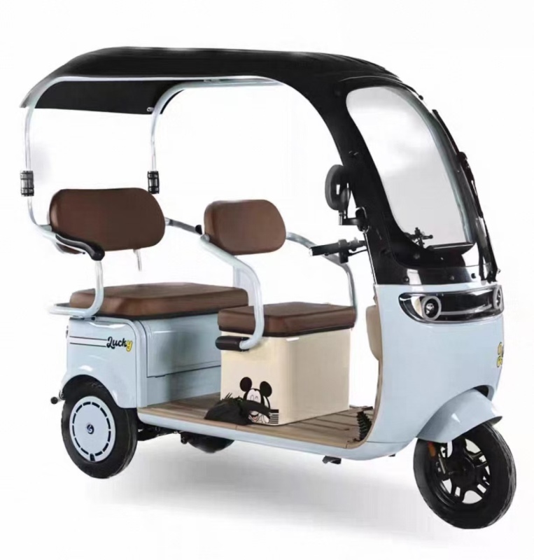 Household commuting Electric leisure tricycle with canopy