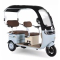 Household commuting Electric leisure tricycle with canopy