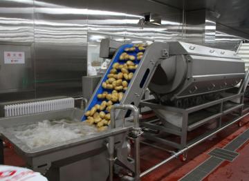 Stainless steel potato chips potato peeling machine