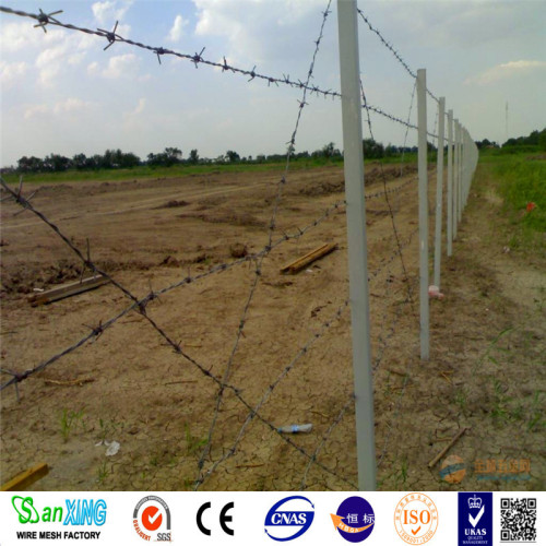 Razor Barbed Wire Galvanized Steel Coiled Barbed Wire Manufactory