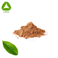 Halal ISO9001 Food Cosmetic Citrus Leaf Extract Powder
