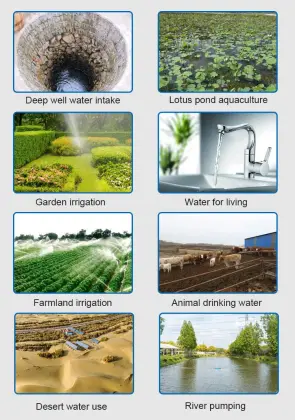 1.2KW Solar Water Pump System: DC Solar Screw & Submersible Water Pump Solutions