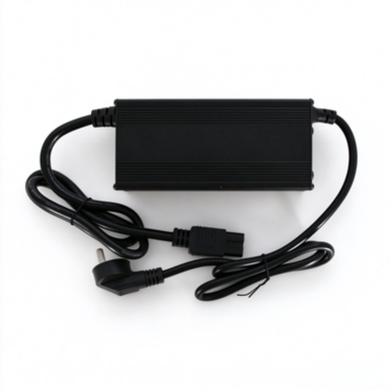 Three wheel electric vehicle battery charger 15A