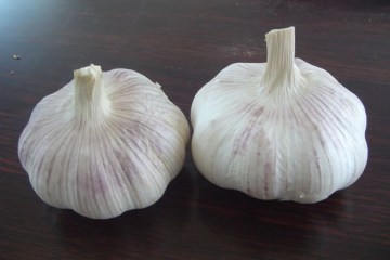 50mm Chinese fresh garlic