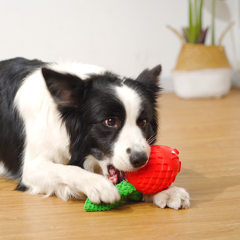 Interactive Dog Toy Fish