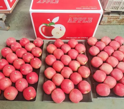 Red Lady Fresh Apples