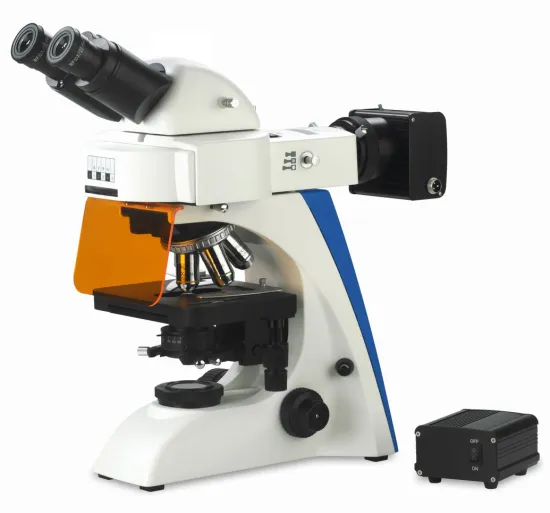 BestScope BS-2063FB LED Upright Binocular Fluorescent Biological Microscope
