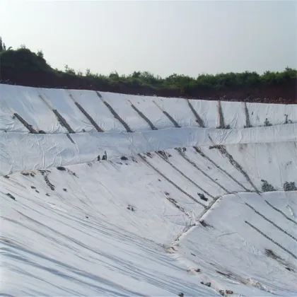 300g/sqm Nonwoven Geotextile for Landfill Slope