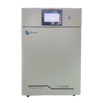 Laboao Triple Gas Incubator CO2 O2 N2 for Cell, Tissue Culture and Microorganisms
