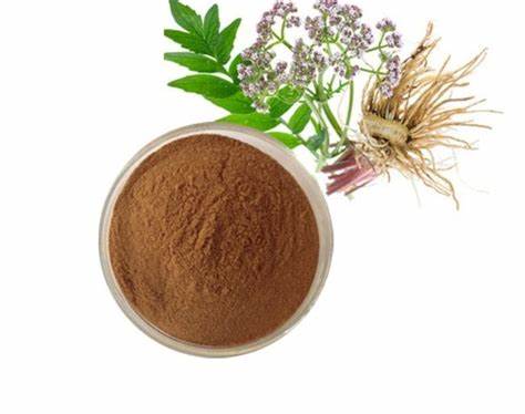 High Quality Valerian Root Extract
