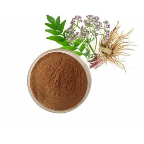High Quality Valerian Root Extract