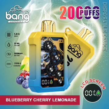 Bang 20000 Puffs LED Display Disposable Vape Germany