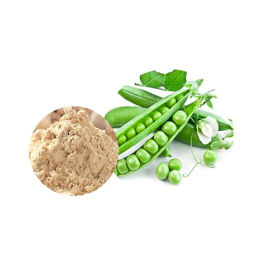 PEA PROTEIN 333