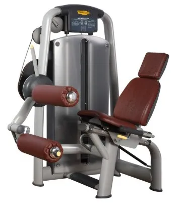 Seated Leg Curl Machine