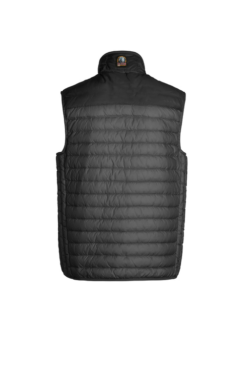 Puffer3 Jpg