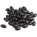 Wasserlöslicher Propolis-Extrakt Propolis Flavon 20%