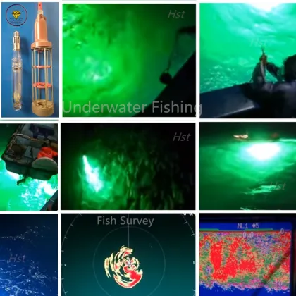 High-Power Underwater Lighting Ballasts for Ocean Offshore Fishery