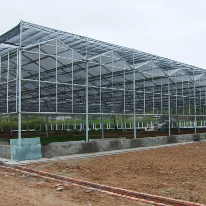 Fully Automatic Smart Greenhouse: MYXL Commercial Agriculture Glass Greenhouse