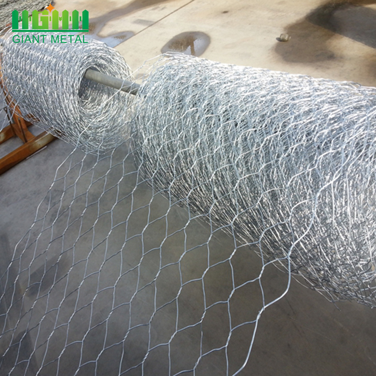 Galvanized Material Hexagonal Hole Crab Trap Wire Mesh