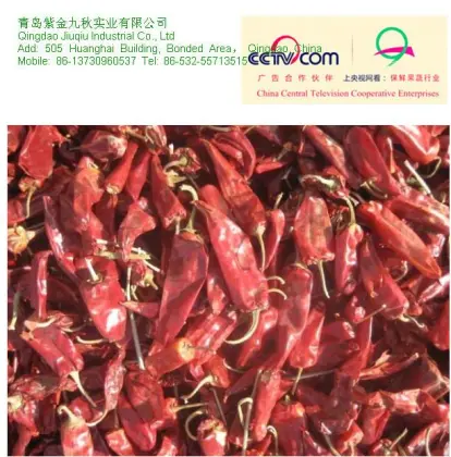 Jq Dry Yidu Chilli