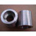 SS316 Steel Forged Coupling