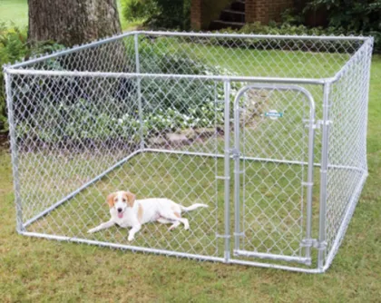 Chain link outdoor large dog run kennel