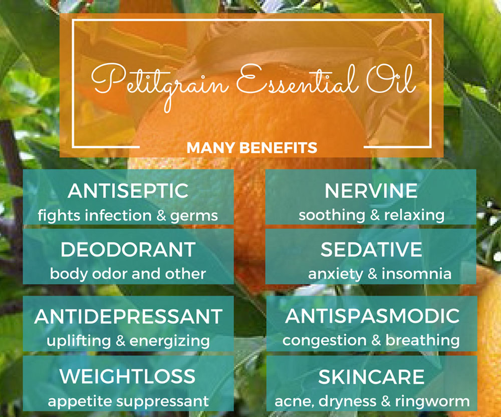 Wholesale bulk price petitgrain essential oil 100%