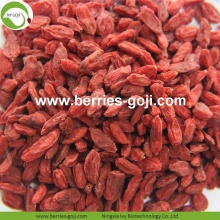 Nutrizione anti-tumore: Fuits naturale bacche di Goji