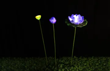 lotus canopy lamp lotus bud lamp