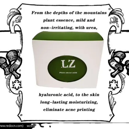 Laizhen plant essence Fix BB cream