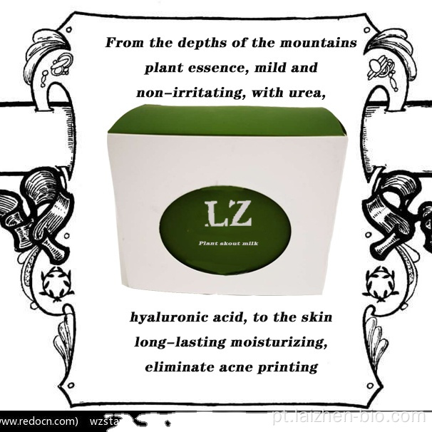 Laizhen planta essência Fix BB cream