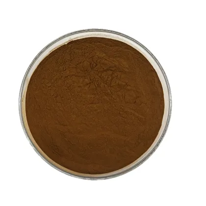 Wholesale Jujube Extract Powder