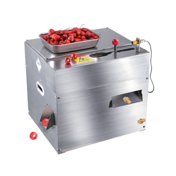 High Efficiency Automatic Hawthorn Pitter and Seed Remover Machine for Commercial Food Processing - 220V