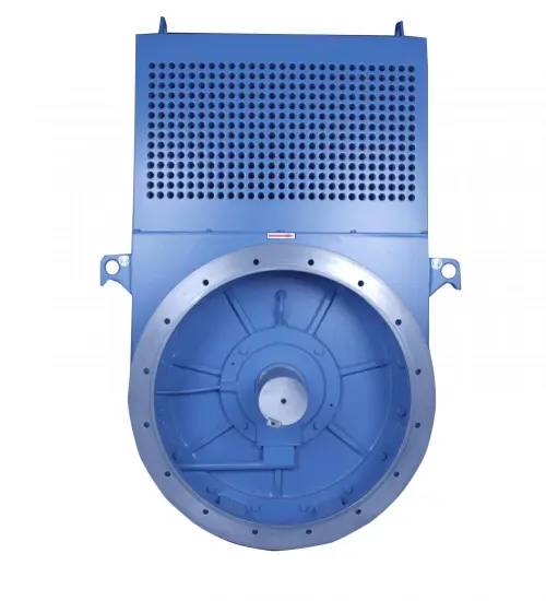 3300 Volt Generator Synchronous