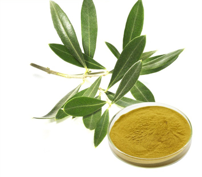 Pure Olive Leaf Extract Powder