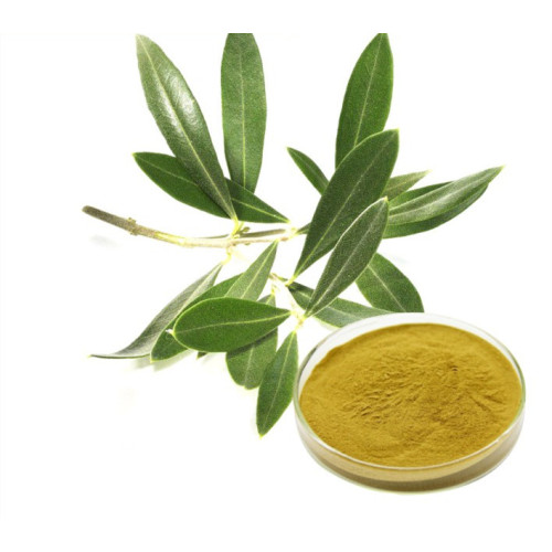 Pure Olive Leaf Extract Powder