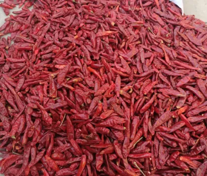 9000 SHU chili powder